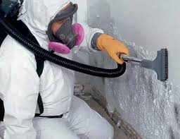  Jackson, GA Mold Removal & Remediation Pros